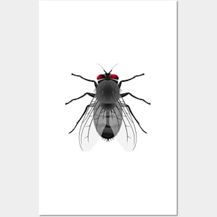 Ugly Fly Posters and Art